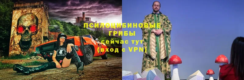 mega как зайти  Кувшиново  Галлюциногенные грибы прущие грибы  цены  